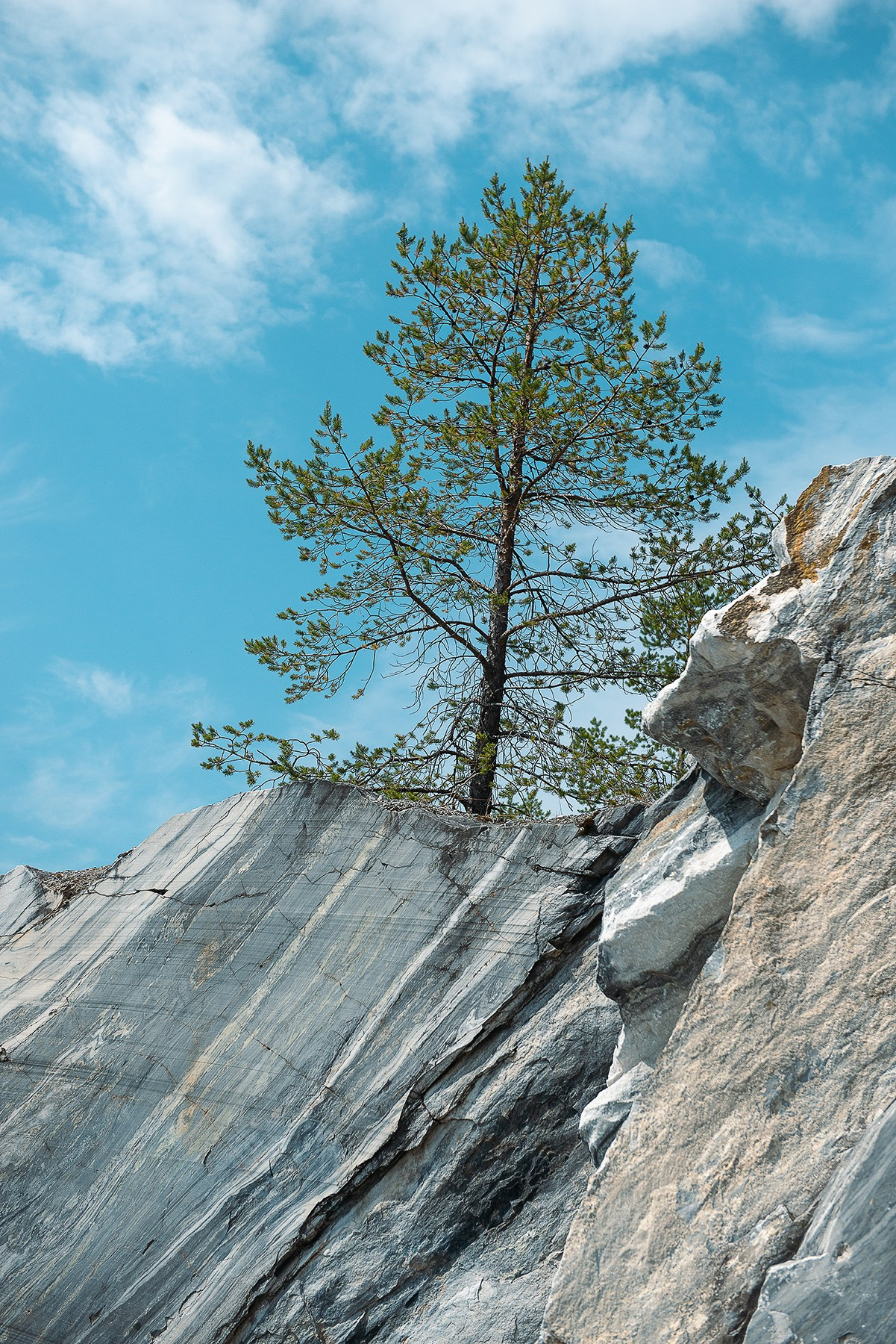 Карелия. Фотограф-анималист Наталья Светличная