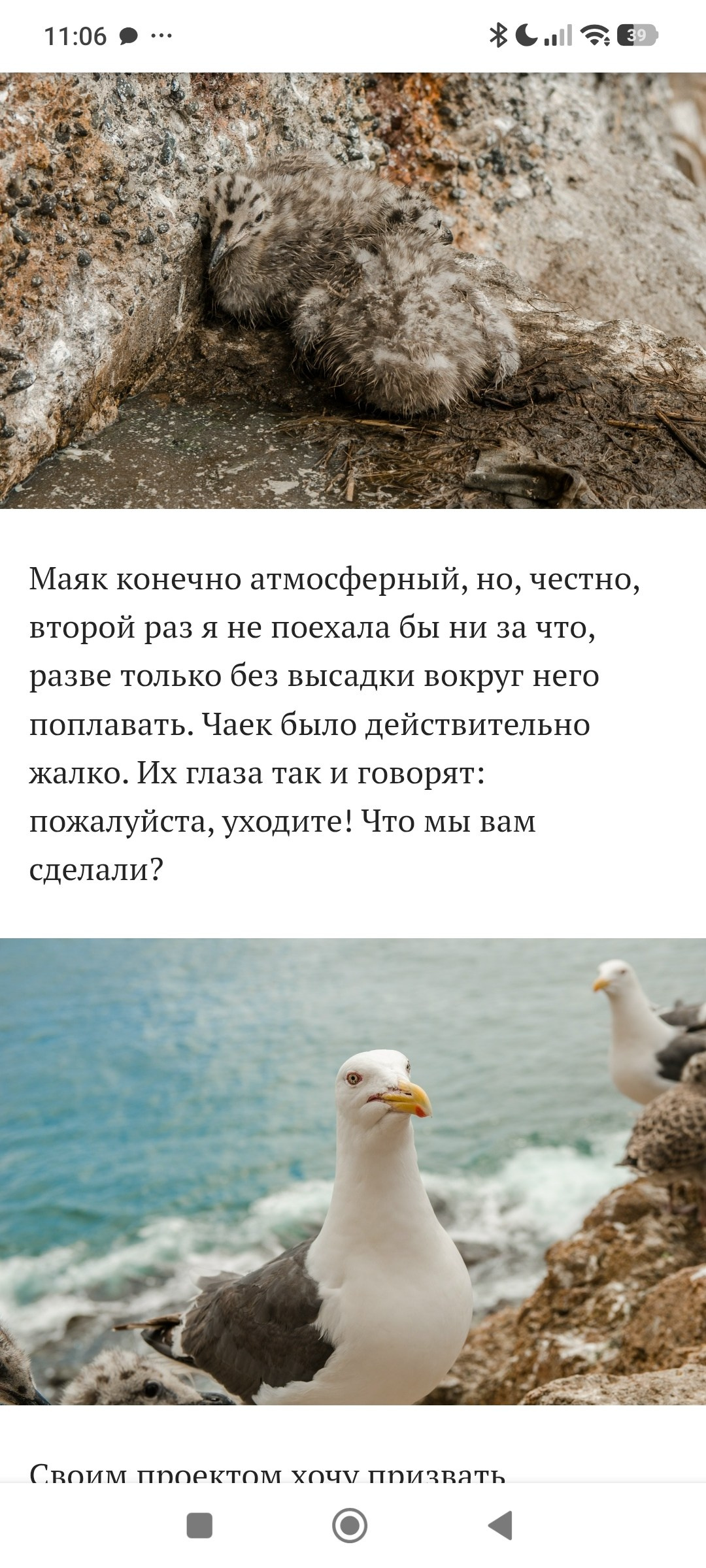 профессиональный фотограф Красноярск