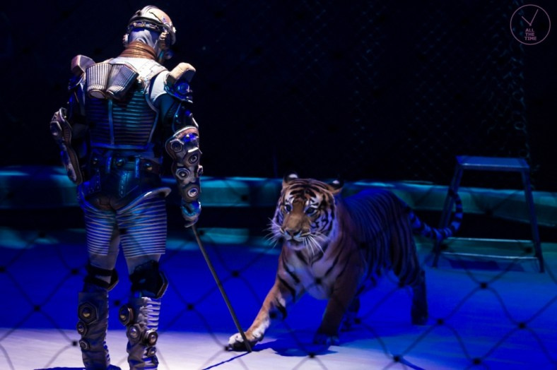 К.У.К.Л.А. Магия музыки в кадре: Концертная Фотография