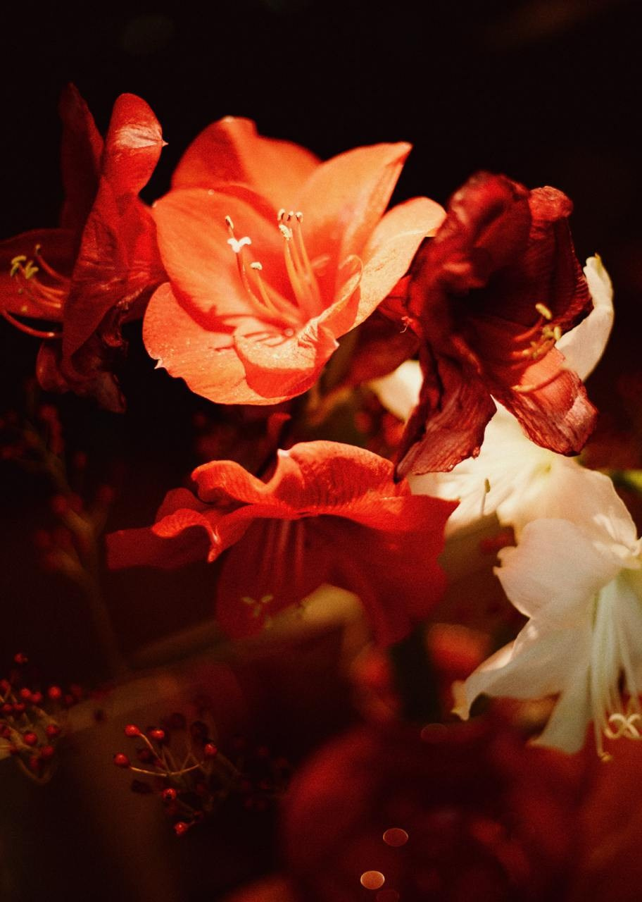 Интерьеры. Главная