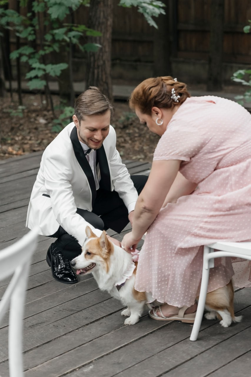 Свадьбы. Ведущий мероприятий Михаил Терентьев