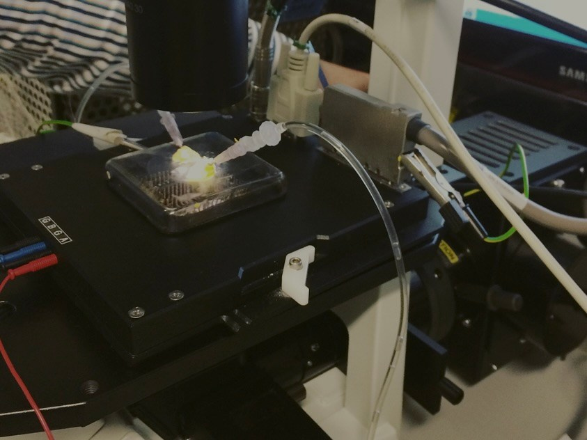 Hong Kong Doc / Гонконг Док. Художник Катерина Копейкина / Artist Katerina Kopeikina