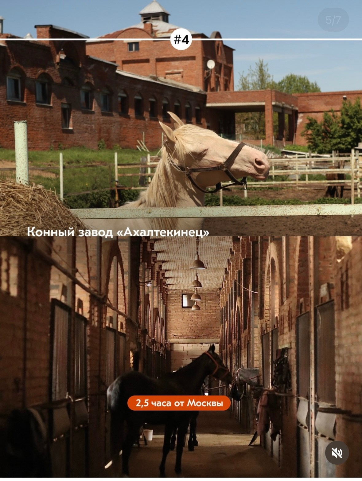 Природные. Фотограф Светлана Мерзлякова