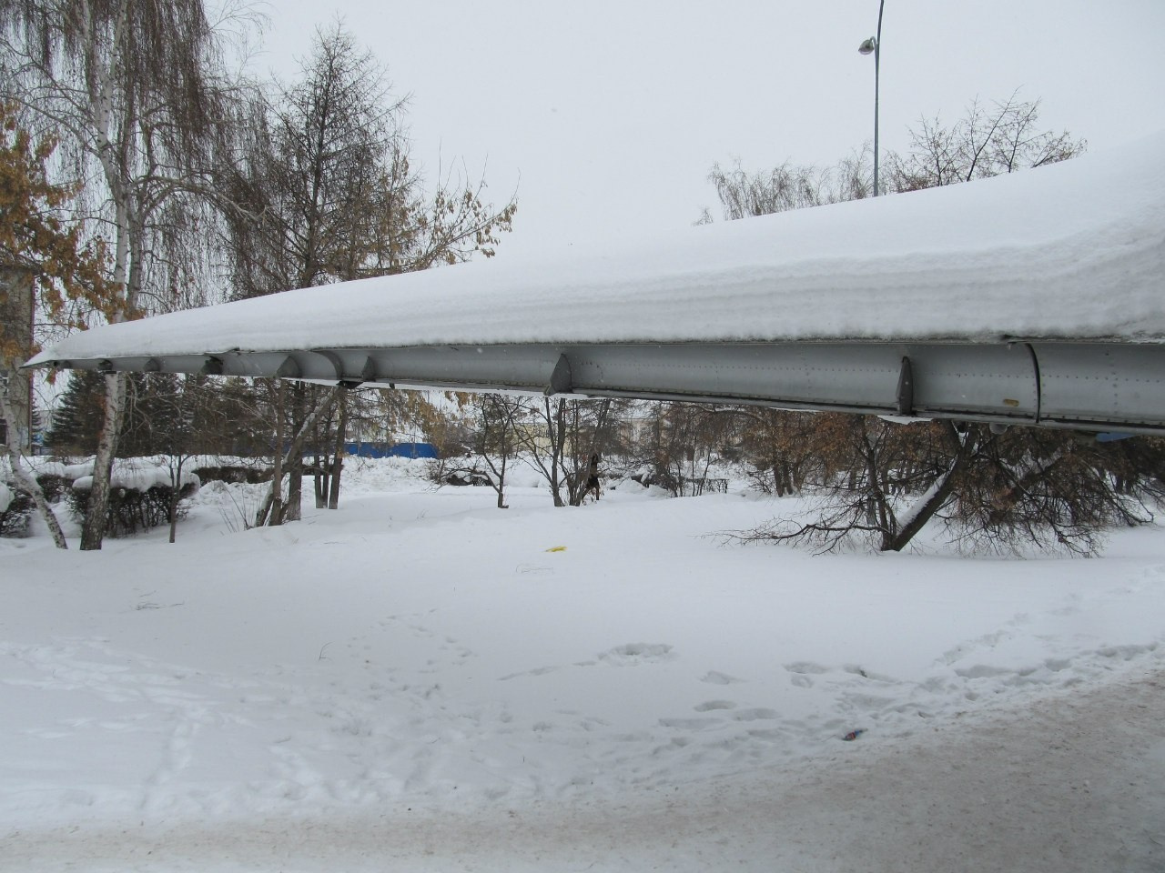 Ил-14 в Самаре. Фотоальбом показывающий увлекательный мир авиации и мир медведей Андрея Иванова