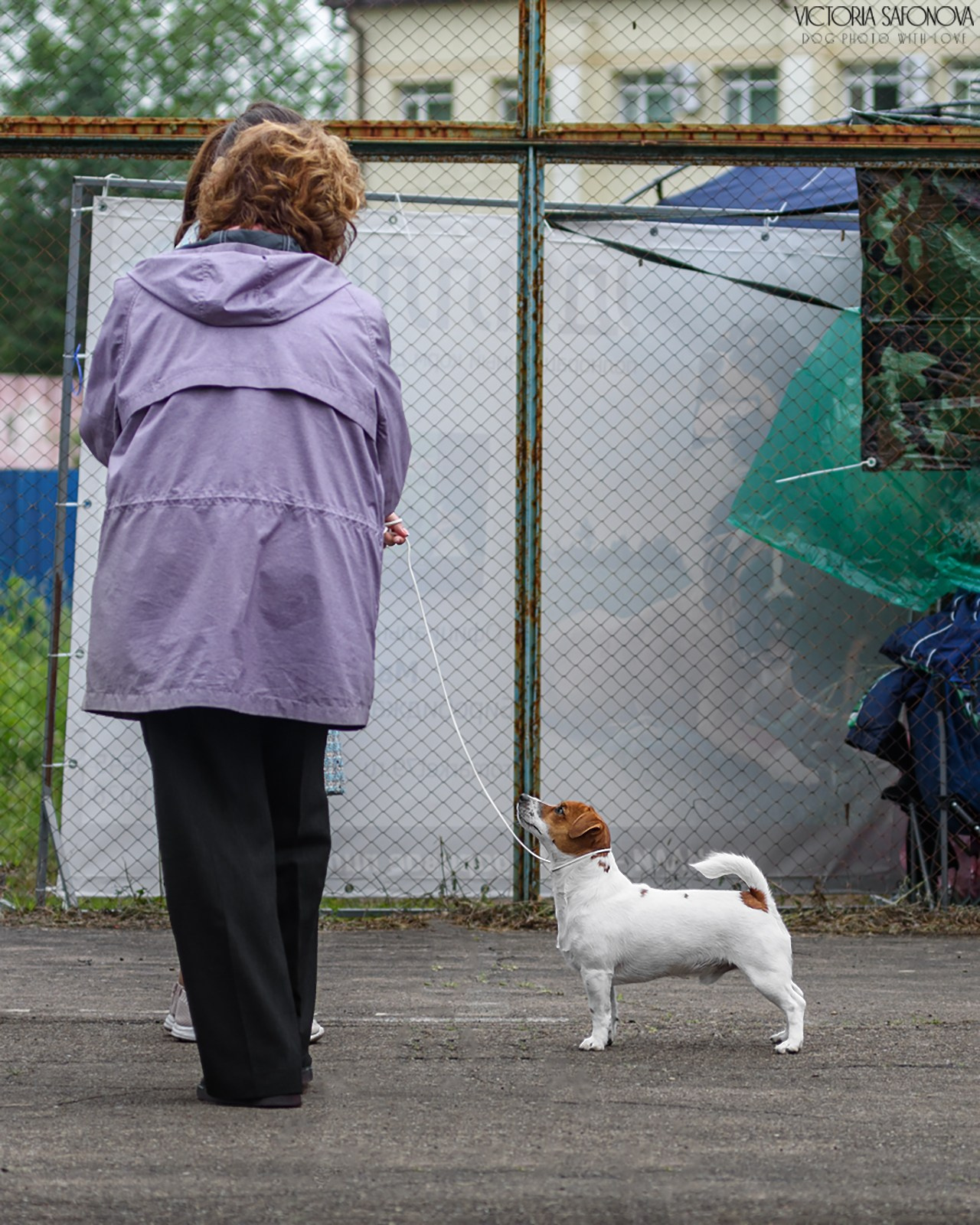 15 июня 2024 Биробиджан. Фотограф анималист Благовещенск. Сафонова Виктория
