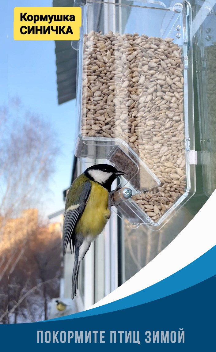 СИНИЧКА. Кормушки для птиц на окно Чирик-Чирик