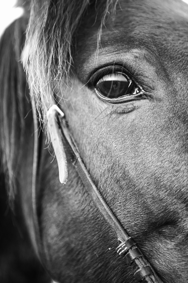 Лена и Клеопатра. Фотограф Александра Рышкова