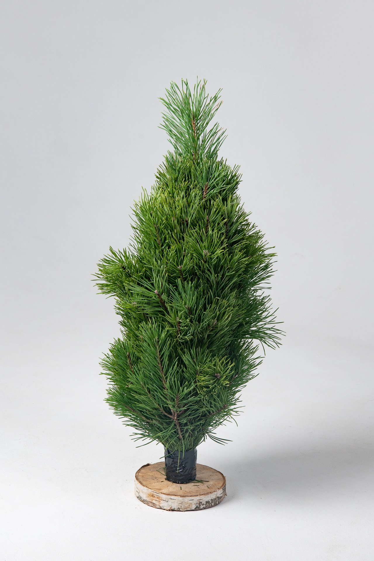 Предметная съемка елок. Фомина Елена Свадебный и семейный фотограф