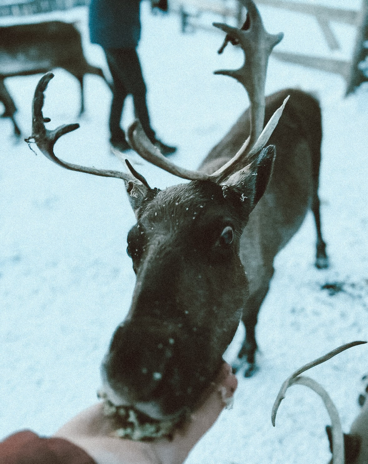 Мурманск. Организатор Авторских Туров Жукова Алёна