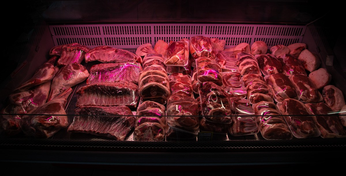 БИЗНЕС КОНТЕНТ. АЛЕКСАНДР ФОКС