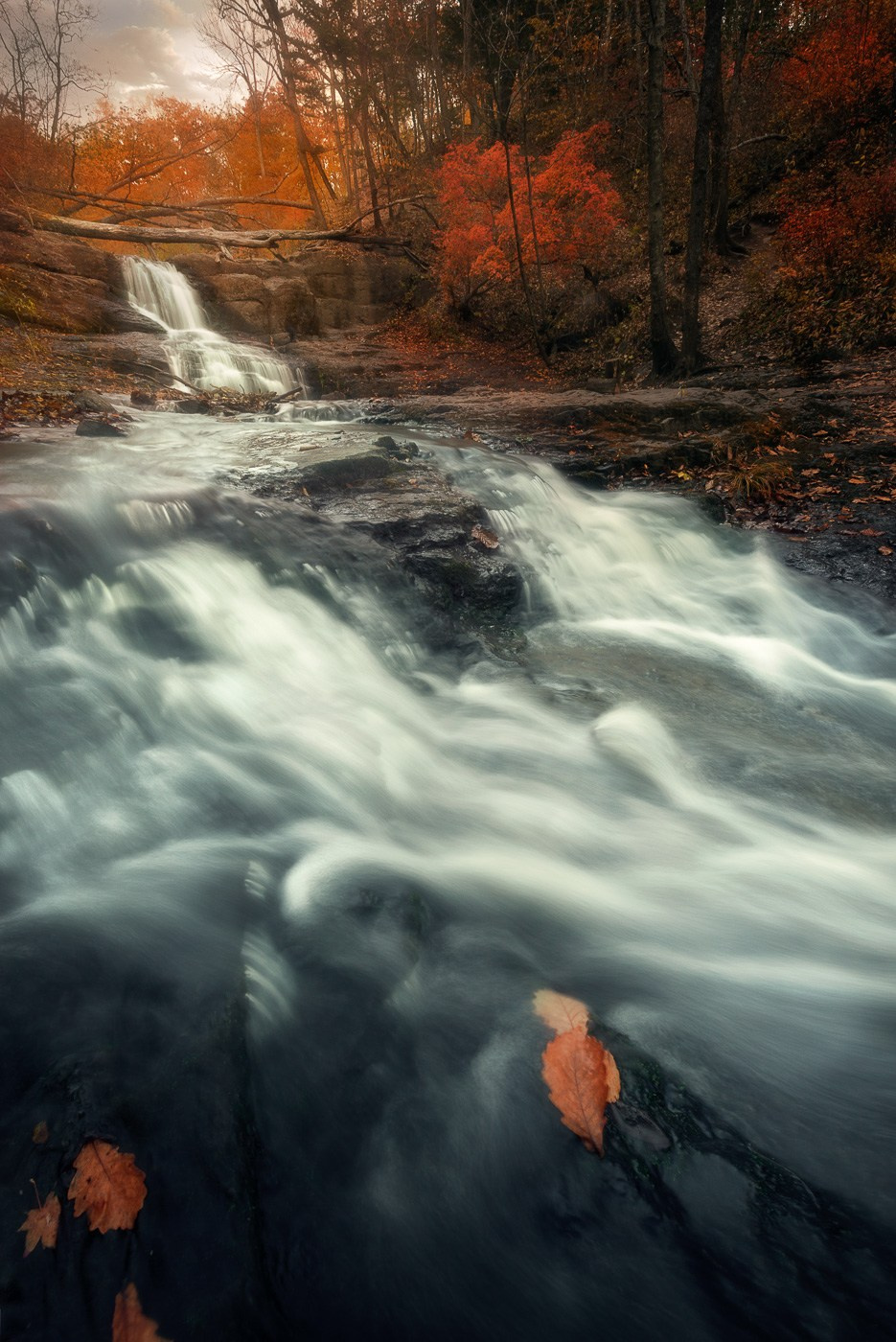 Пейзаж. Андрей Кровлин — фотограф в Славянке
