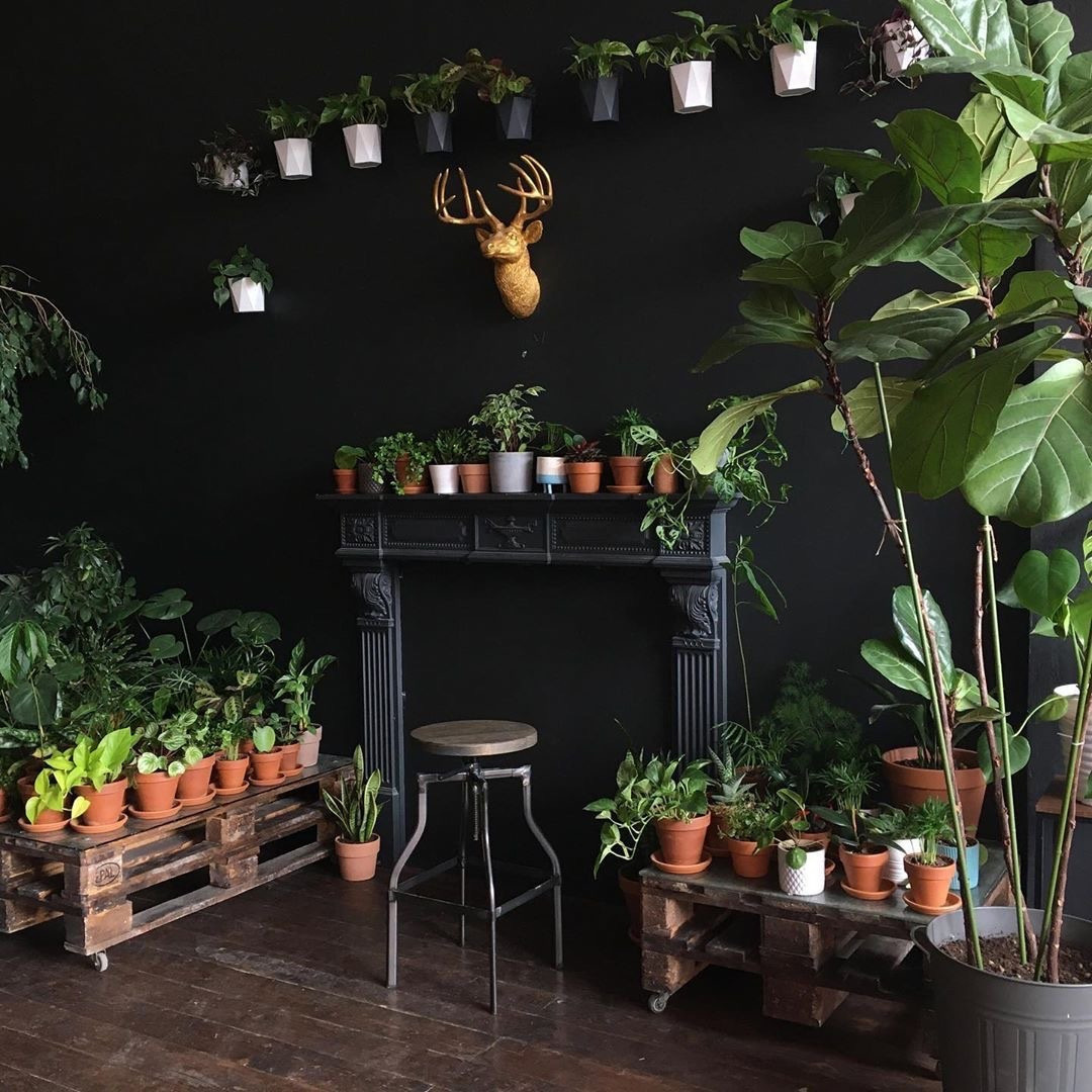 Фотостудии МОСКВЫ. Свадебный и семейный фотограф Виктория Носачёва. Щелково, Москва и МО