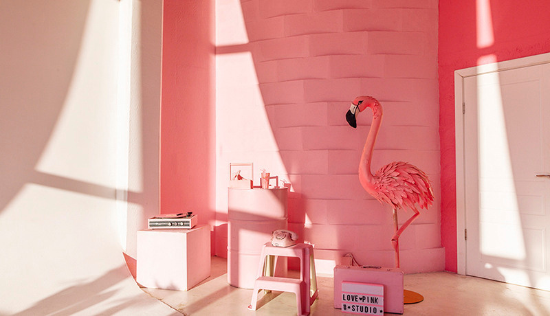 Фотостудии МОСКВЫ. Свадебный и семейный фотограф Виктория Носачёва. Щелково, Москва и МО