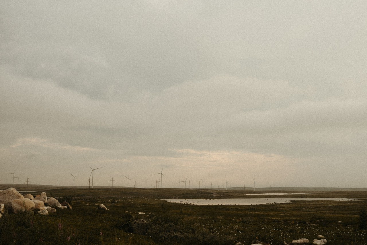 Отзывы. Семейный фотограф в Мурманске Екатерина Юшкова