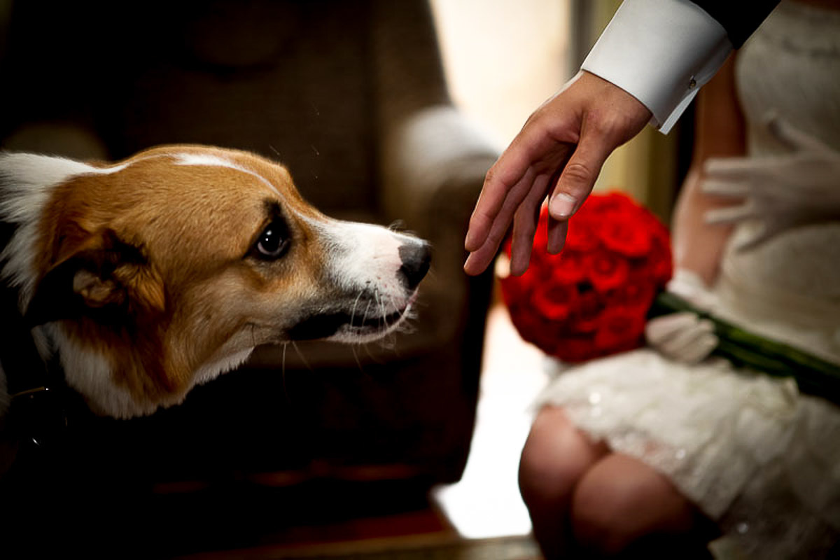 Свадебный фотограф в Ростове-на-Дону. Свадебная фотография в Ростове-н. Максим Матвийченко и Виктория Басова профессионалы своего дела
