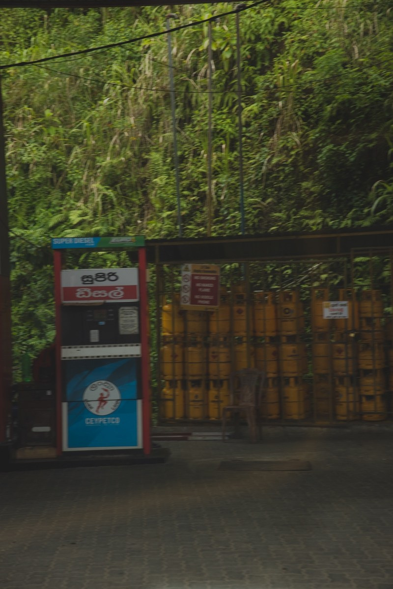 Шри-ланка. Ретрит «Bodу.Mind.Soul» Март 2024 Фото. Профессиональный фотограф Татьяна Евглевская