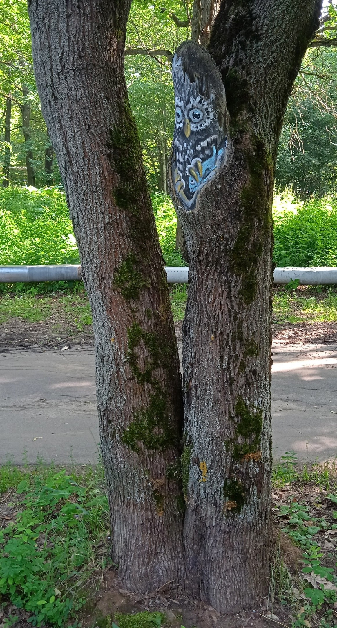 Роспись стен. Яр Панов Арт.Картины, татуировки, роспись стен и одежды в Москве