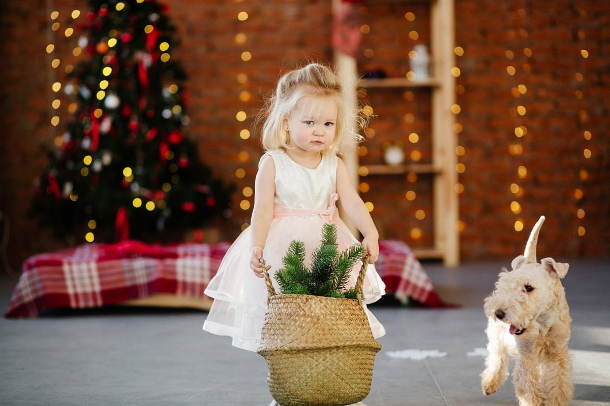 Новогодние съёмки. Свадебный и семейный фотограф Екатерина Иванова
