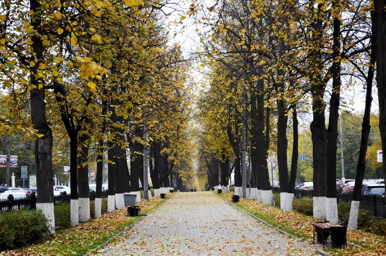 Природа. Анастасия Куц | фотограф | Пермский край