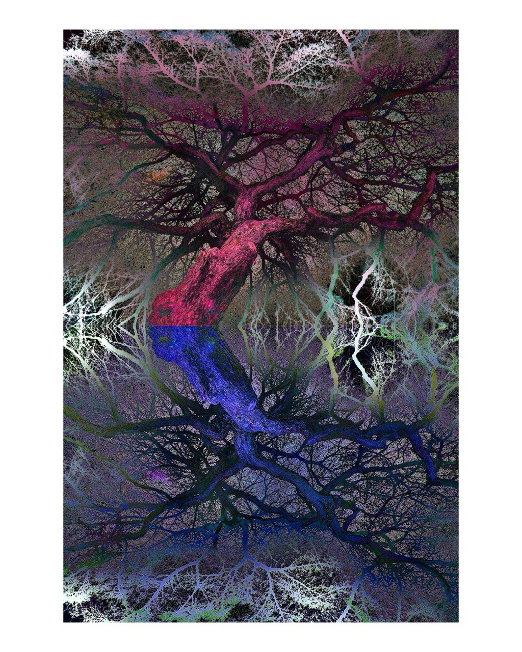 NEON LIGHT. VISUAL ARTIST