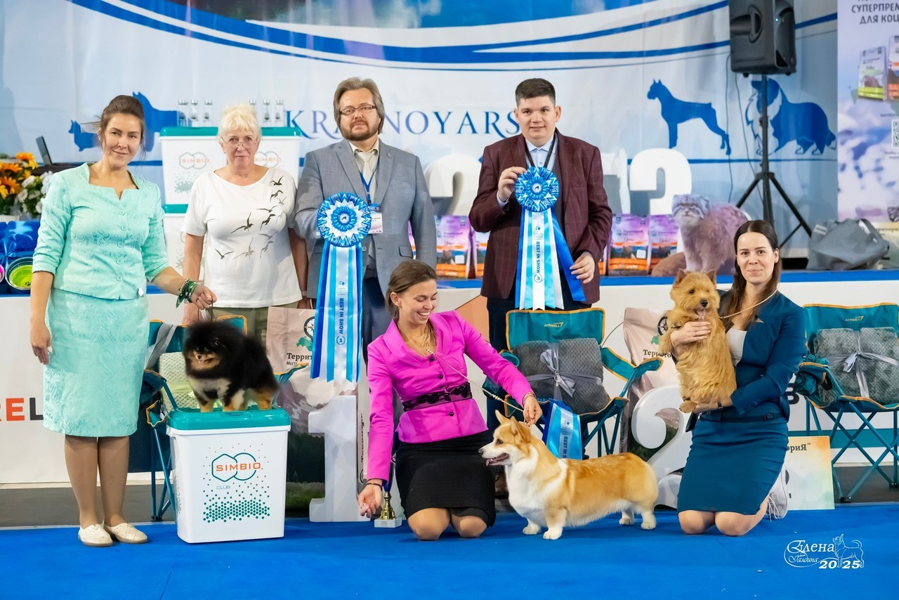 Отзывы. Фотограф анималист Елена Галдина г. Красноярск