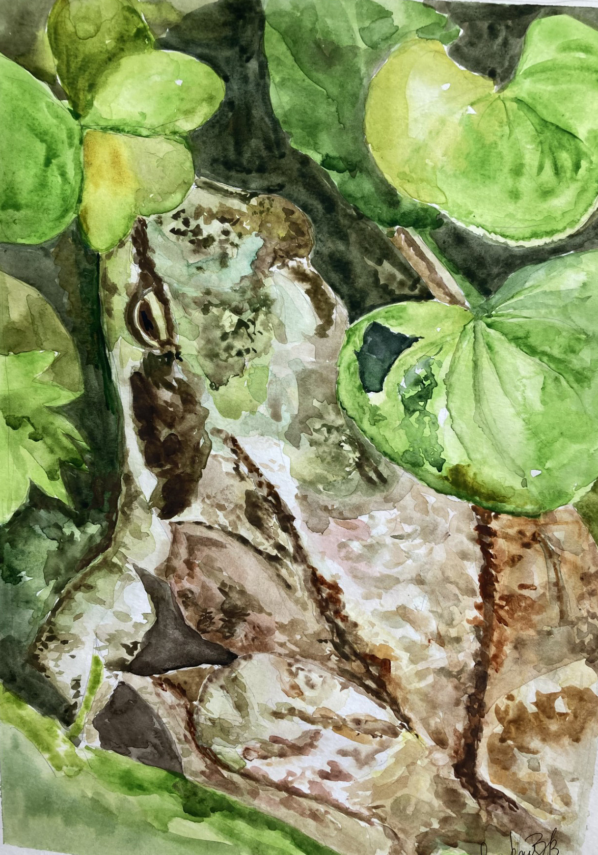 Акварель. ArtZoyaEndovitskaya