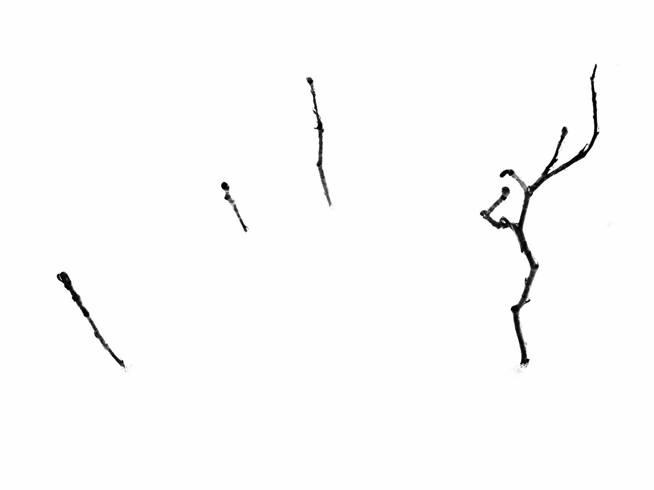 Реальная геометрия. Фотограф Евгений Андреев