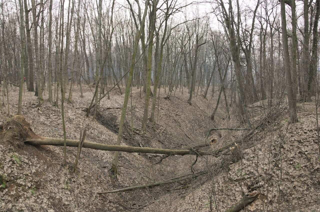 Середниково — Piligrim Porto — Братцево — Сходненская чаша | 09.04.2016. Галерея Фантим