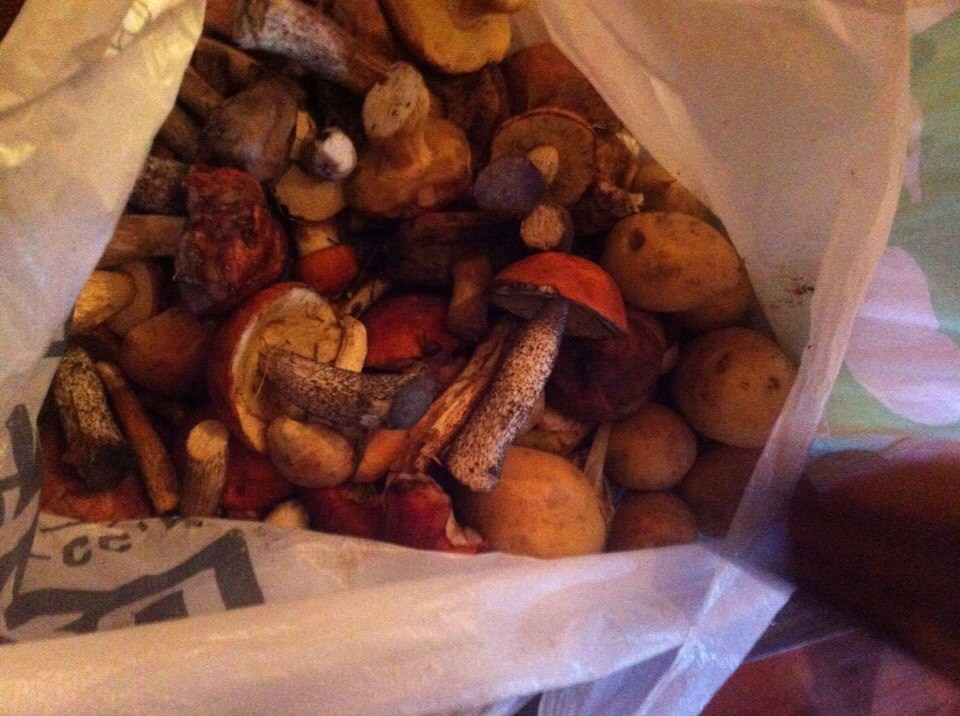 Деревенский выезд 2 | 26-28.08.2016. Галерея Фантим