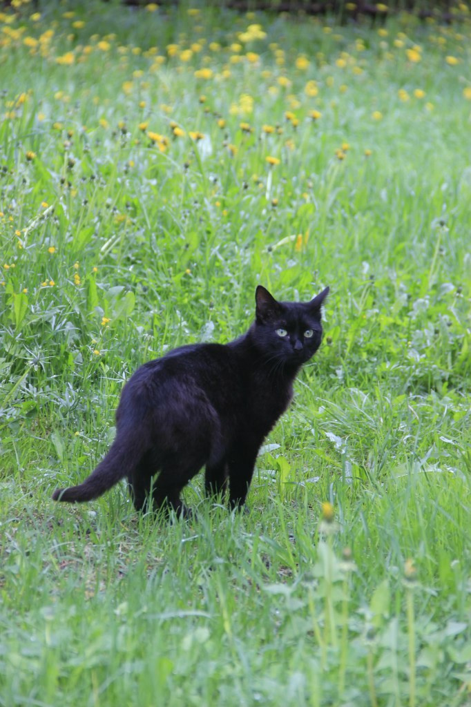 День рождения Фантима. 7 лет! | 21-22.05.2016. Галерея Фантим