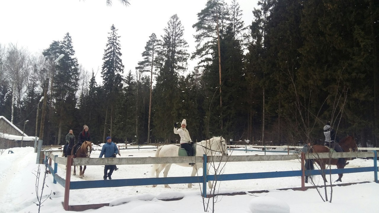 Активные выходные |18-19.02.2017. Галерея Фантим