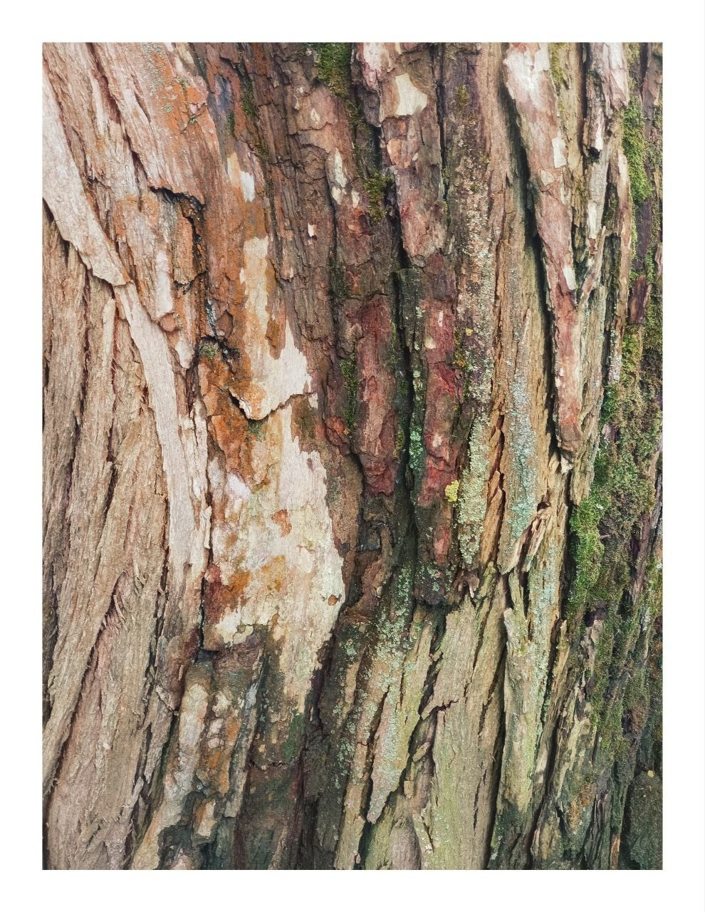 Облачный поток. Мастерская Демченко