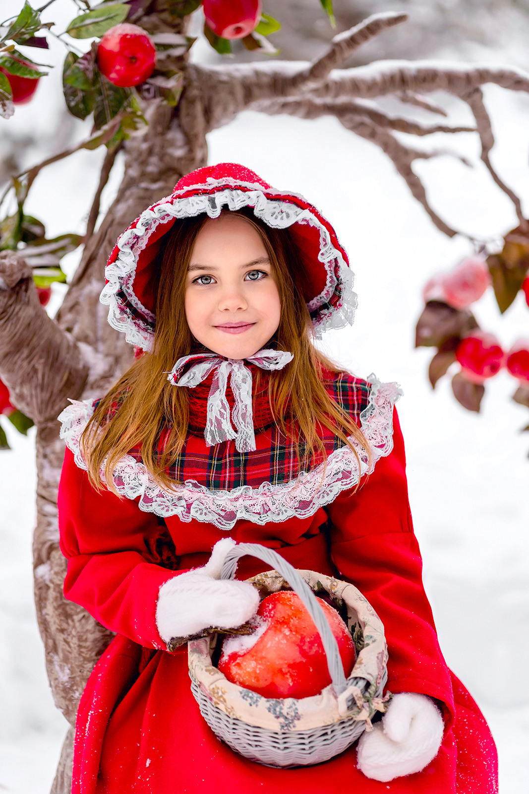 Яблочки на снегу. Фотограф Дмитров. Москва