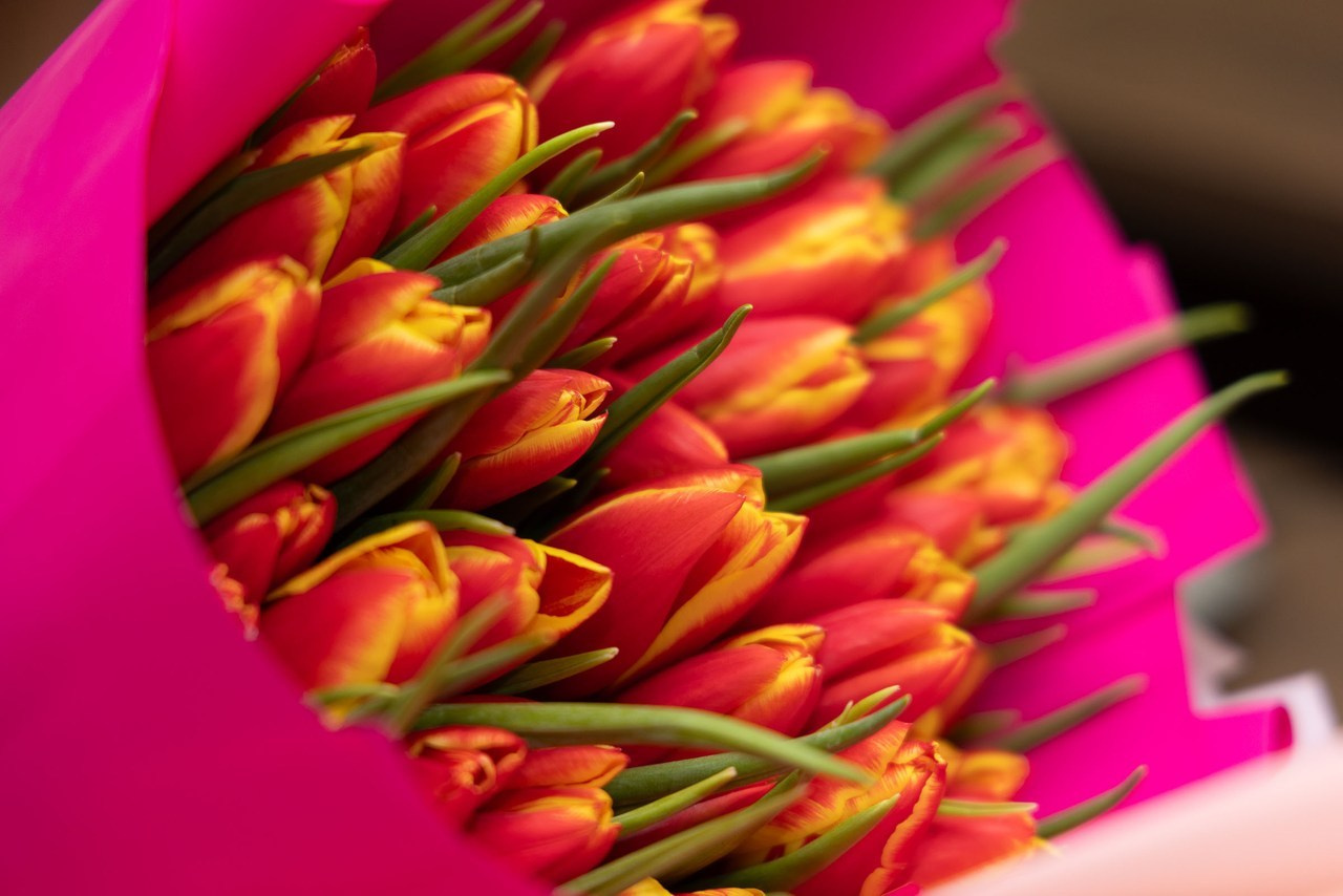 Отзывы. Рекламный фотограф, фуд фотограф Станислав Трушкин, обучение фотографии в Москве +7 903 587 6687