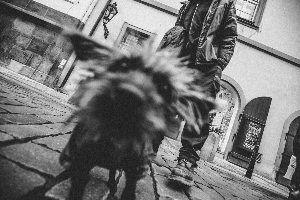 Путешествия. Фотограф Александр Ямпольский