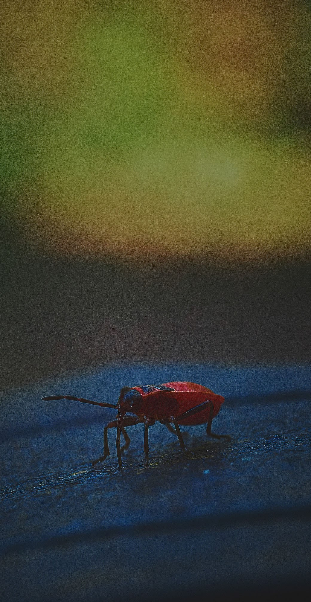 Международная онлайн-фотошкола Сергея Рожнова