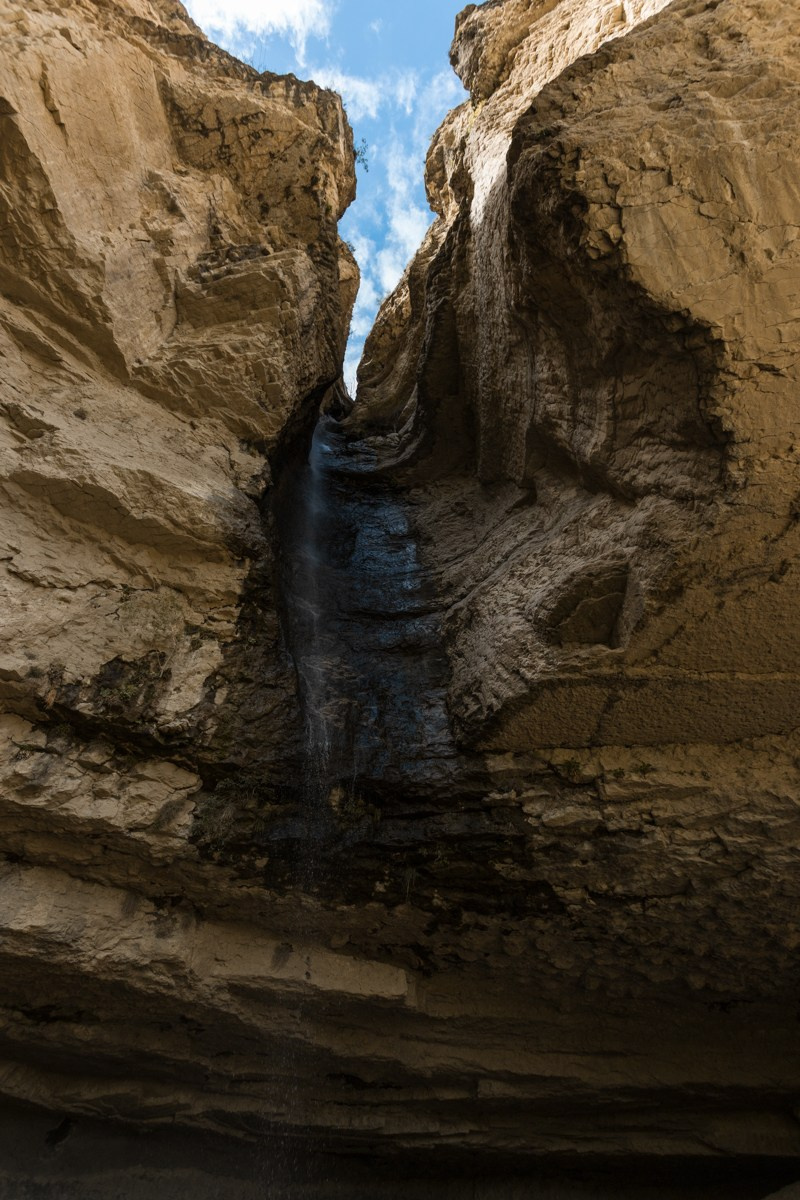 Природа. Photomantis