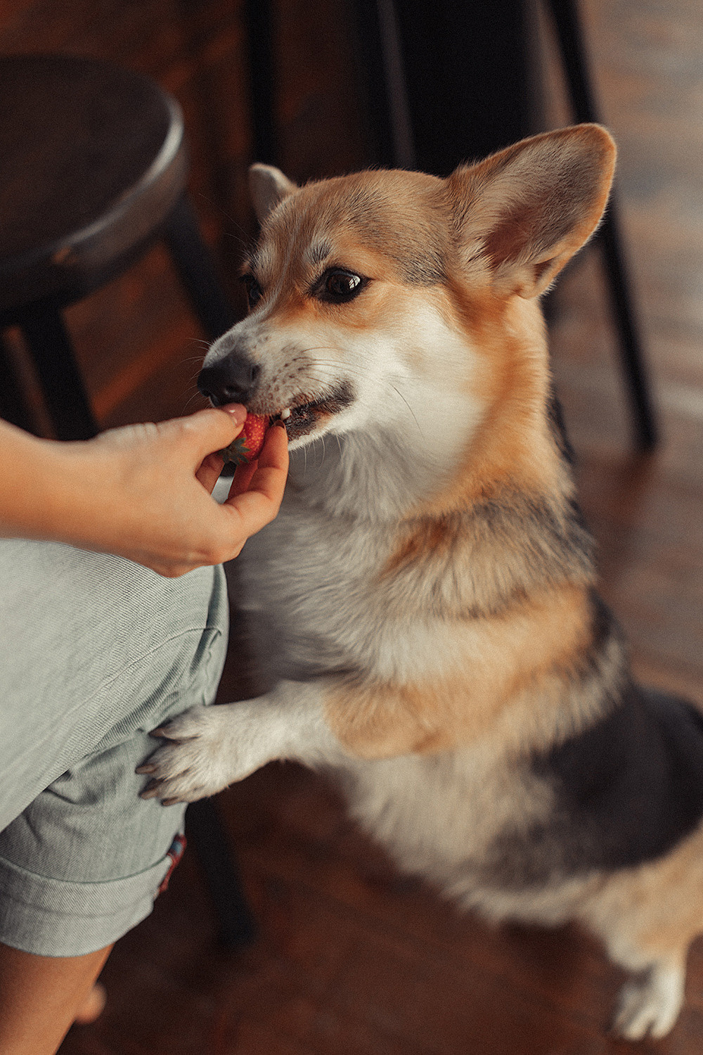 Pregnancy. Семейный и свадебный фотограф в Праге Евгения Реутова