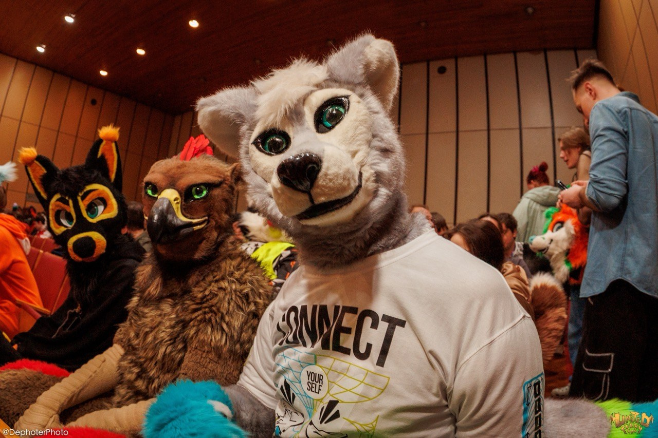 United Furry Convention 2026. Различные мероприятия и просто фотографии людей