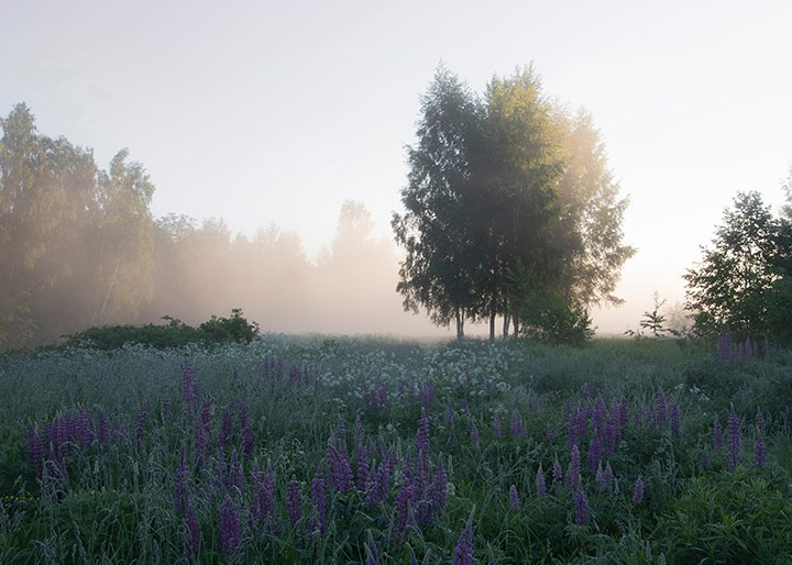Пейзажи России. Пейзажный & Timelapse фотограф Роман Любимский