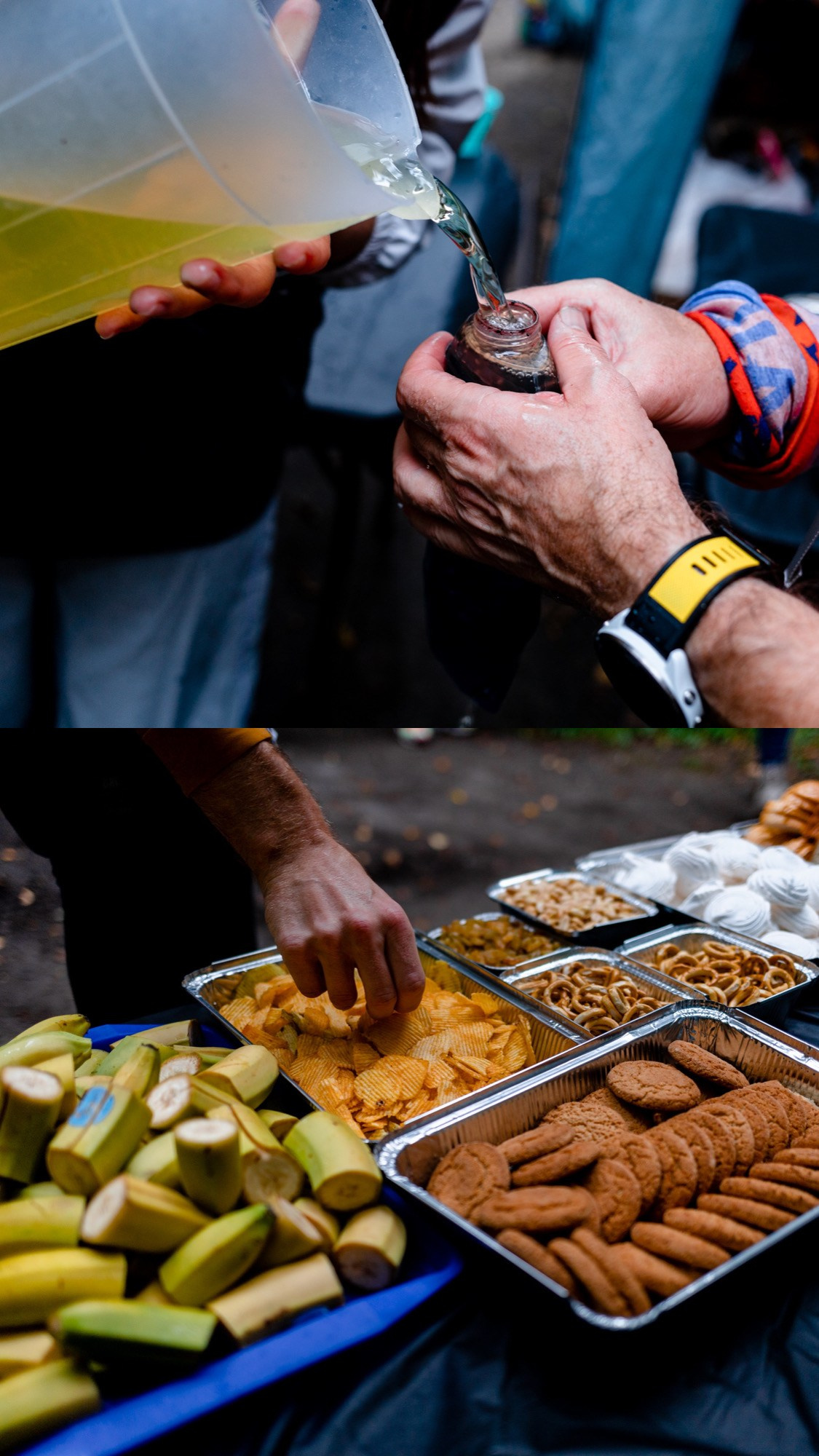 City Trail Losiny Ostrov. Павел Шарапов | Фотограф | Москва