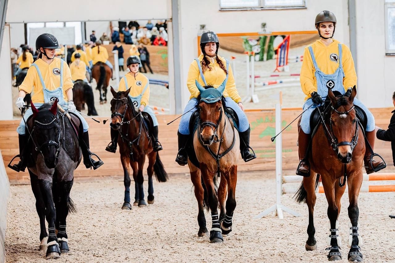 НОВЫЙ ГОД В КСК «АЛМАЗОВО», КОНКУР. Куракина Дарья • Конный фотограф