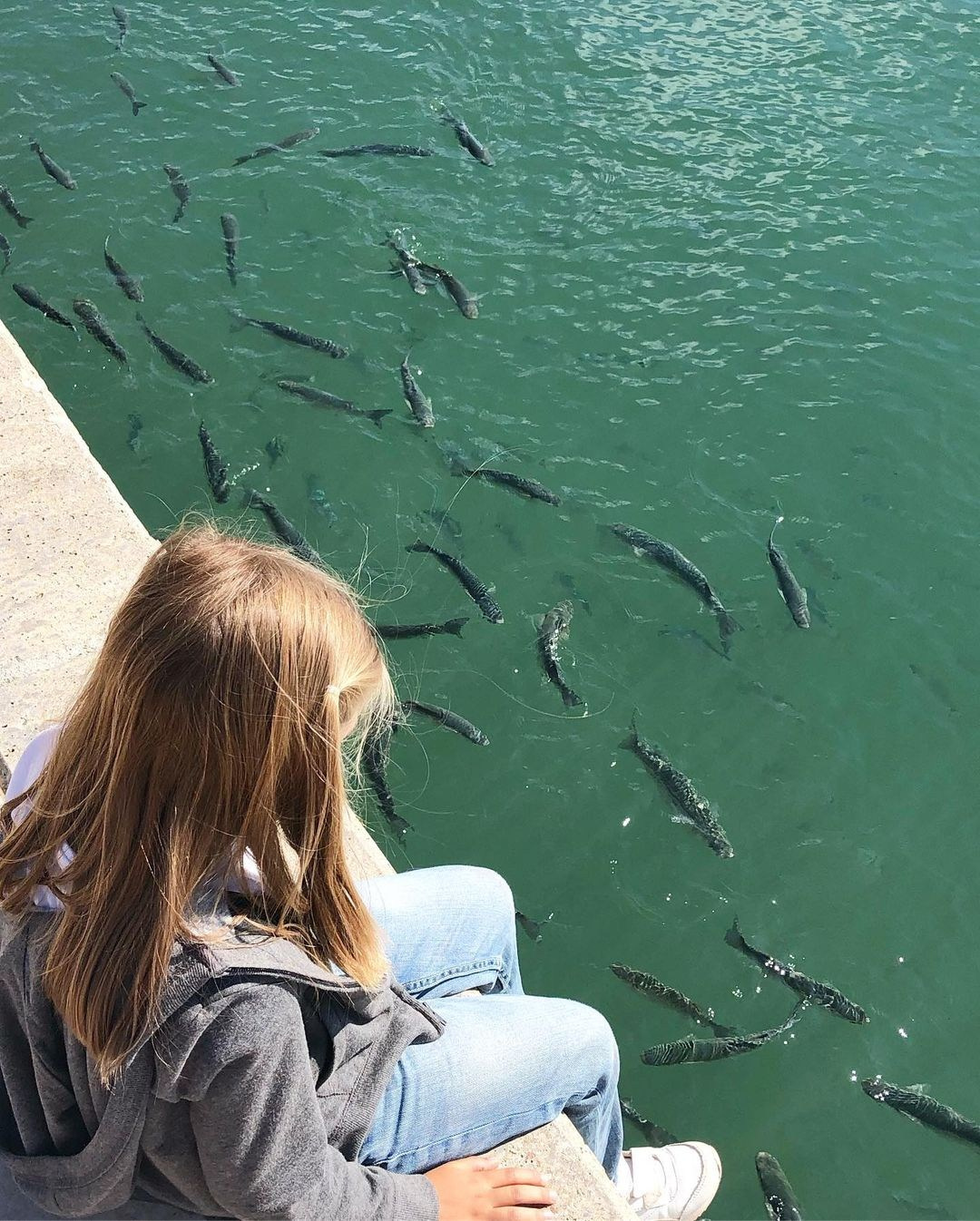 Anka`s Instagram. Заставка