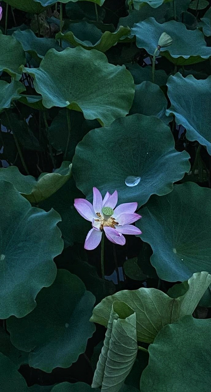 Гуанчжоу. Фотограф в Перми Любовь Огородова | Авторские туры