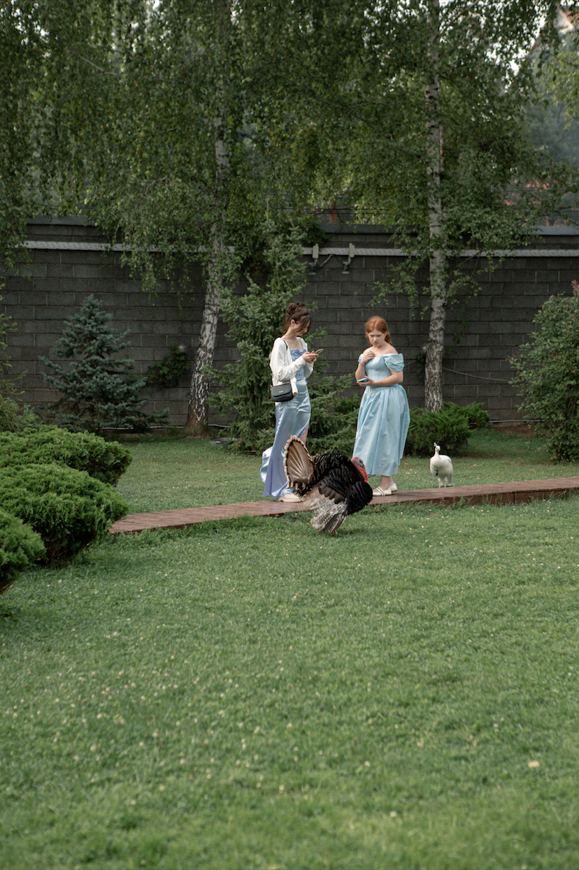 Площадка № 2-5. Свадебный организатор Москва