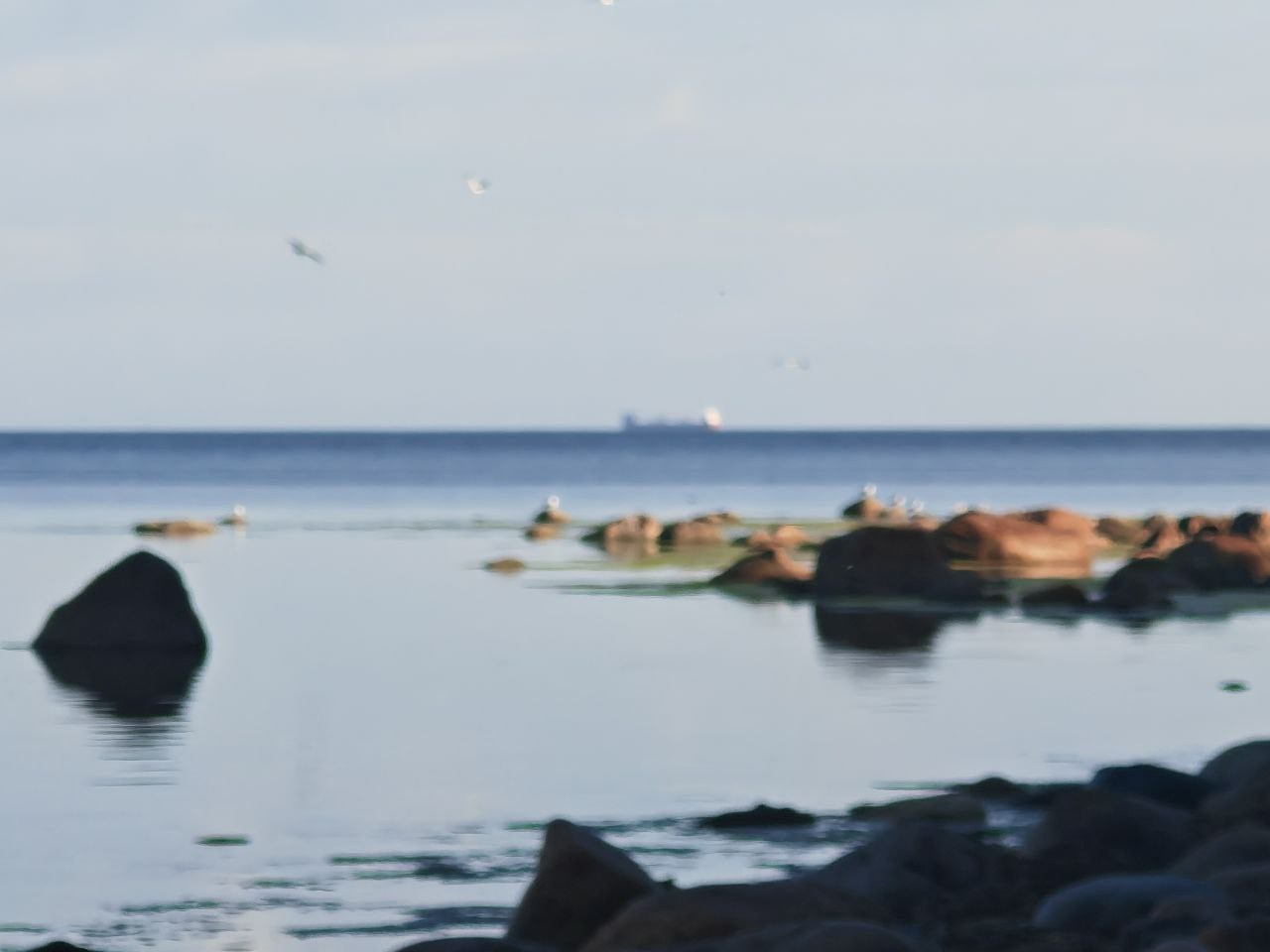 МЕРОПРИЯТИЯ 2025. МОТОШКОЛА в городе Витебске. Обучение категории А и А1