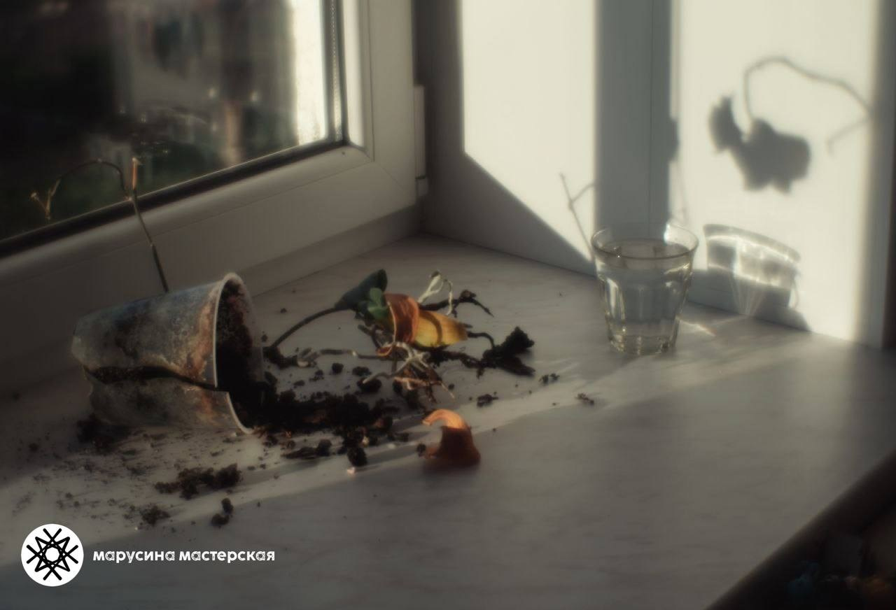 Лилия Галимова