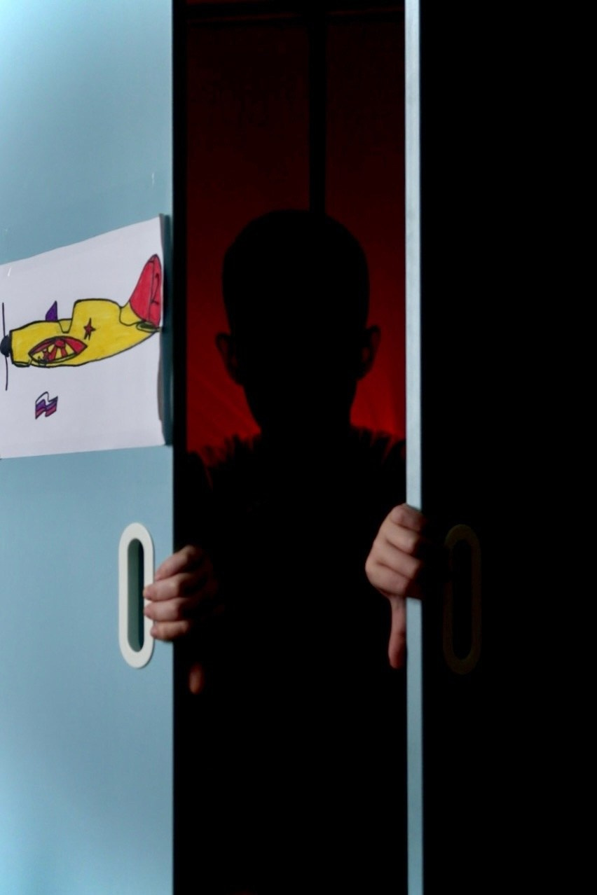 Елена Зайлер