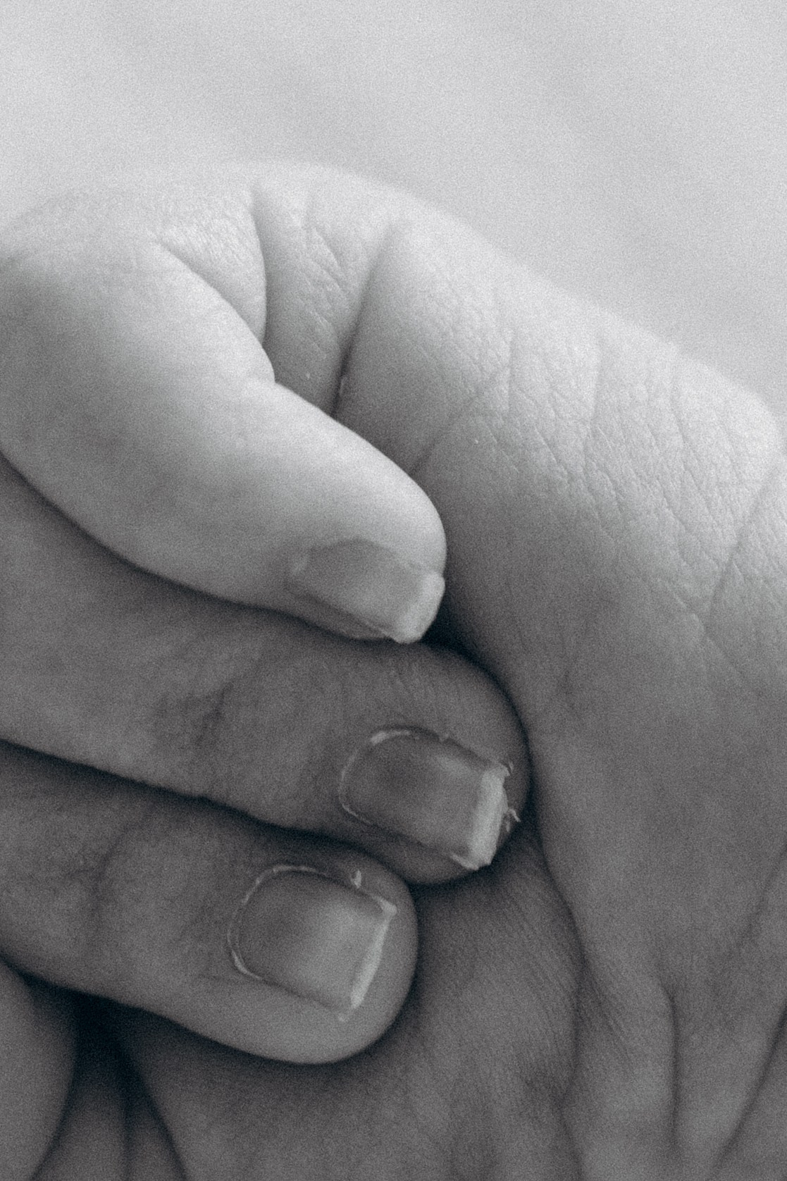 Семейный и детский фотограф в Москве