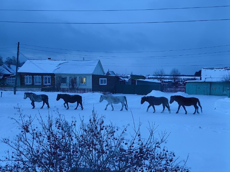 Алмалиева Екатерина. Фотообъединение Самарского областного отделения Союза журналистов России